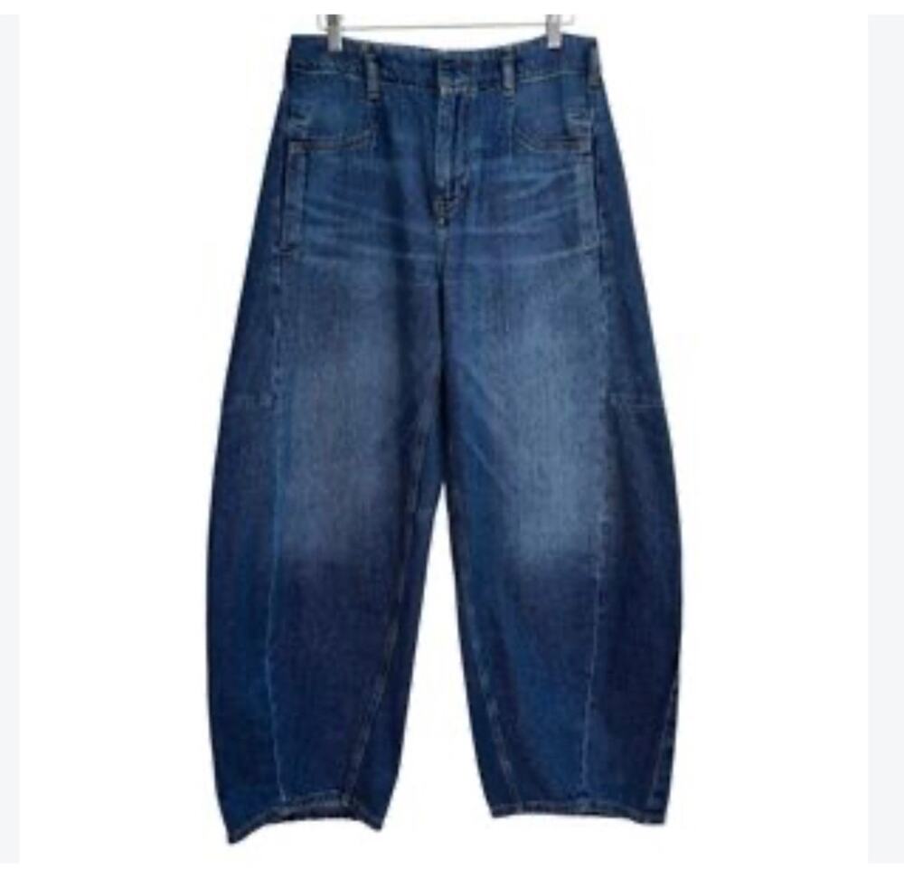Anthropologie Pilcro Kayden High Rise Barrel Leg Jeans Size 28 womens denim